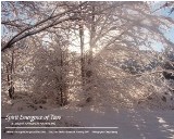 December Morning - Taos, New Mexico